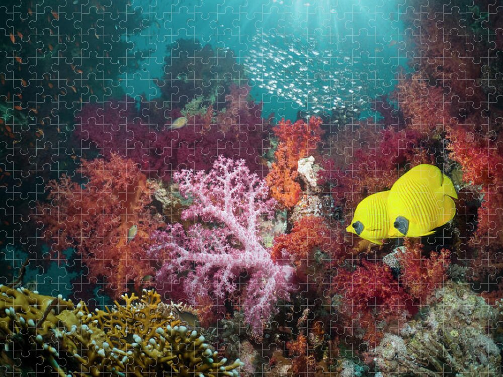 Tranquility Jigsaw Puzzle featuring the photograph Coral Reef Scenery #51 by Georgette Douwma