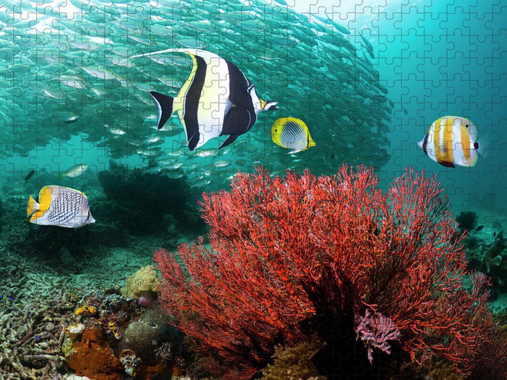 Gorgonian Coral Jigsaw Puzzle featuring the photograph Coral Reef With Fish #7 by Georgette Douwma