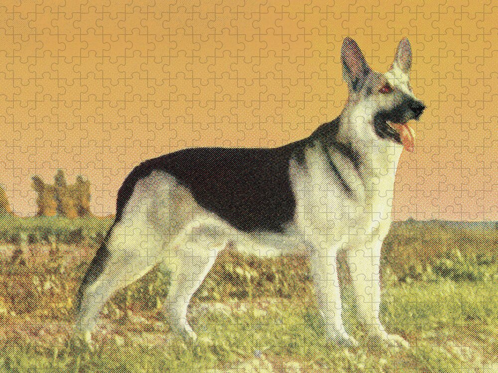 Animal Jigsaw Puzzle featuring the drawing German Shepherd #7 by CSA Images