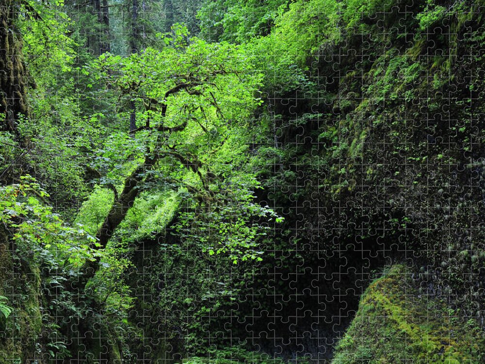 Scenics Jigsaw Puzzle featuring the photograph Yosemite National Park #7 by Mitch Diamond