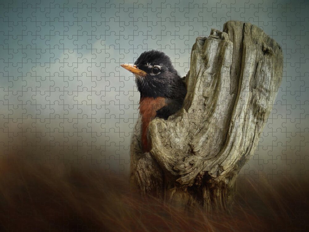 Bird Jigsaw Puzzle featuring the photograph A Cozy Spot by Jai Johnson