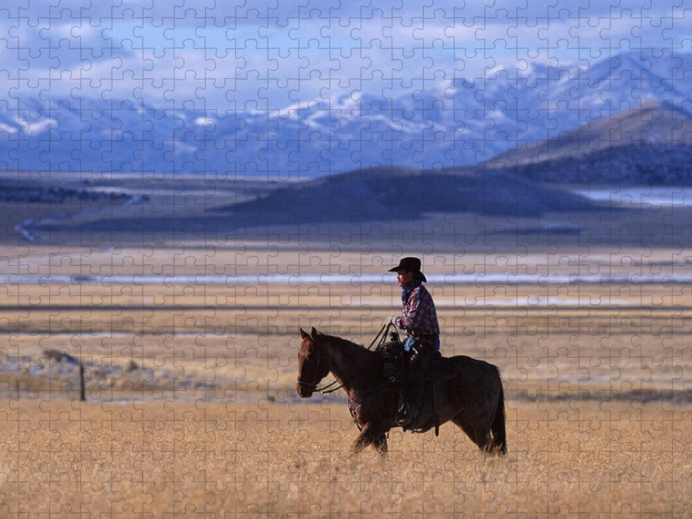 Horse Jigsaw Puzzle featuring the photograph A Horizontal Image Of A Cowboy Riding by Photodisc