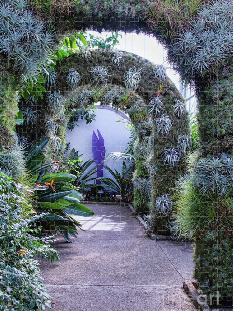 Garden Jigsaw Puzzle featuring the photograph A Living Arch by Marilyn Cornwell