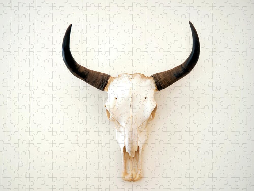 Horned Jigsaw Puzzle featuring the photograph A Picture Of An Animal Skull On A White by Philary