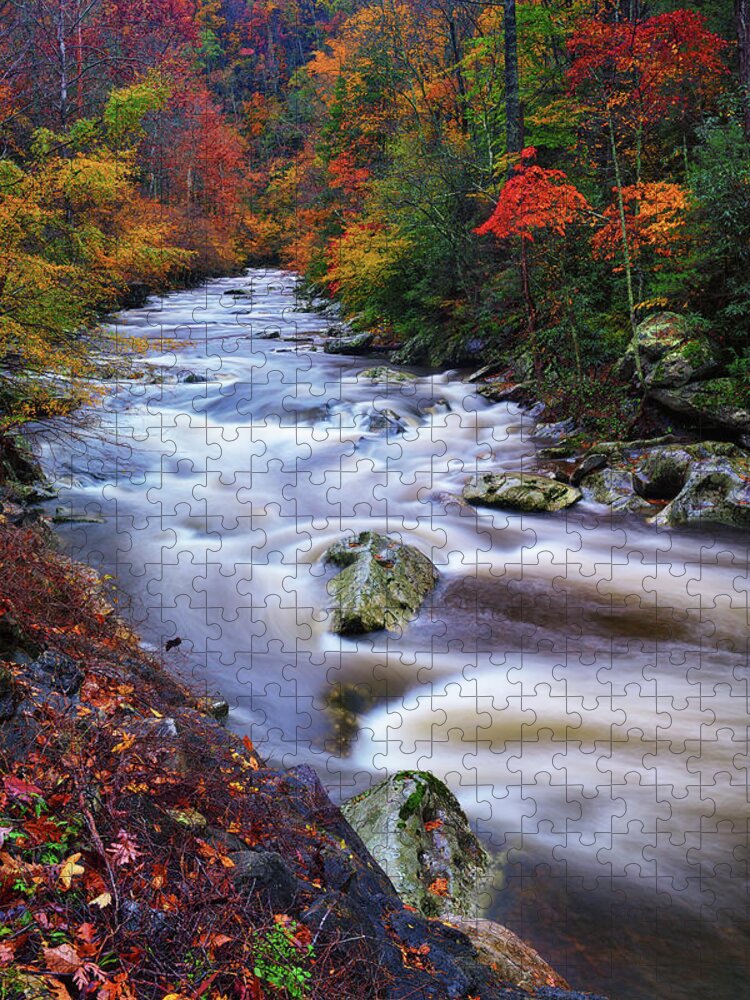 Great Smoky Mountains National Park Jigsaw Puzzle featuring the photograph A River Runs Through Autumn by Greg Norrell