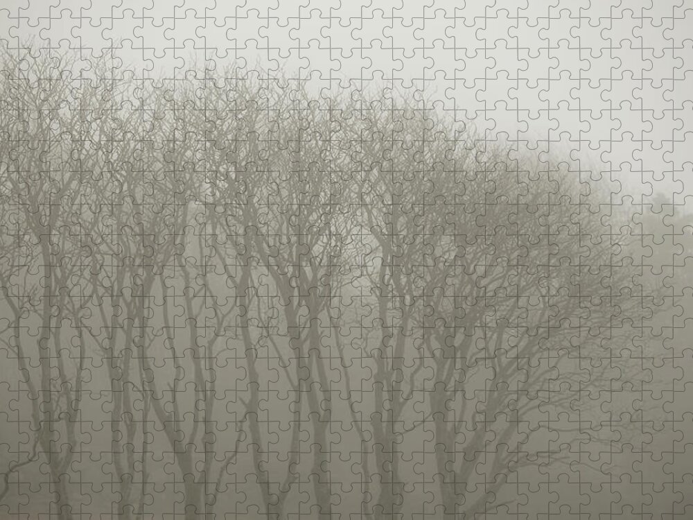 In A Row Jigsaw Puzzle featuring the photograph A Row Of Bare Trees In Fog by Sindre Ellingsen