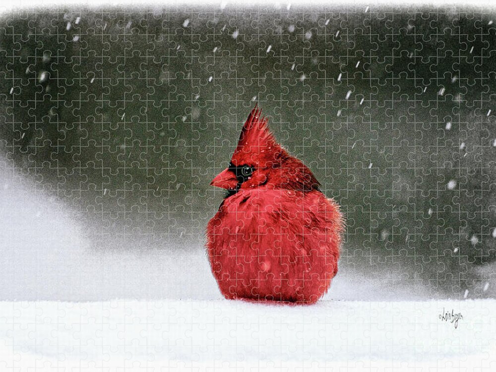 Cardinal Jigsaw Puzzle featuring the photograph A Ruby In The Snow by Lois Bryan