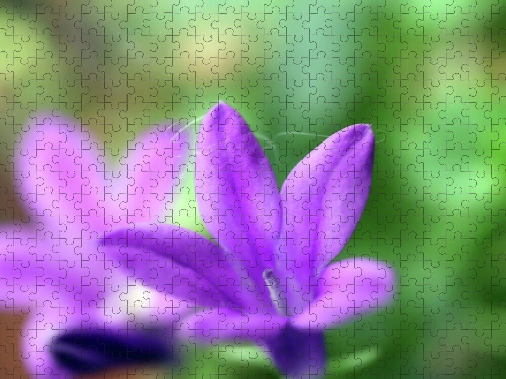 Flower Jigsaw Puzzle featuring the photograph A Small Blue Bell Macro Photopgraph by Johanna Hurmerinta