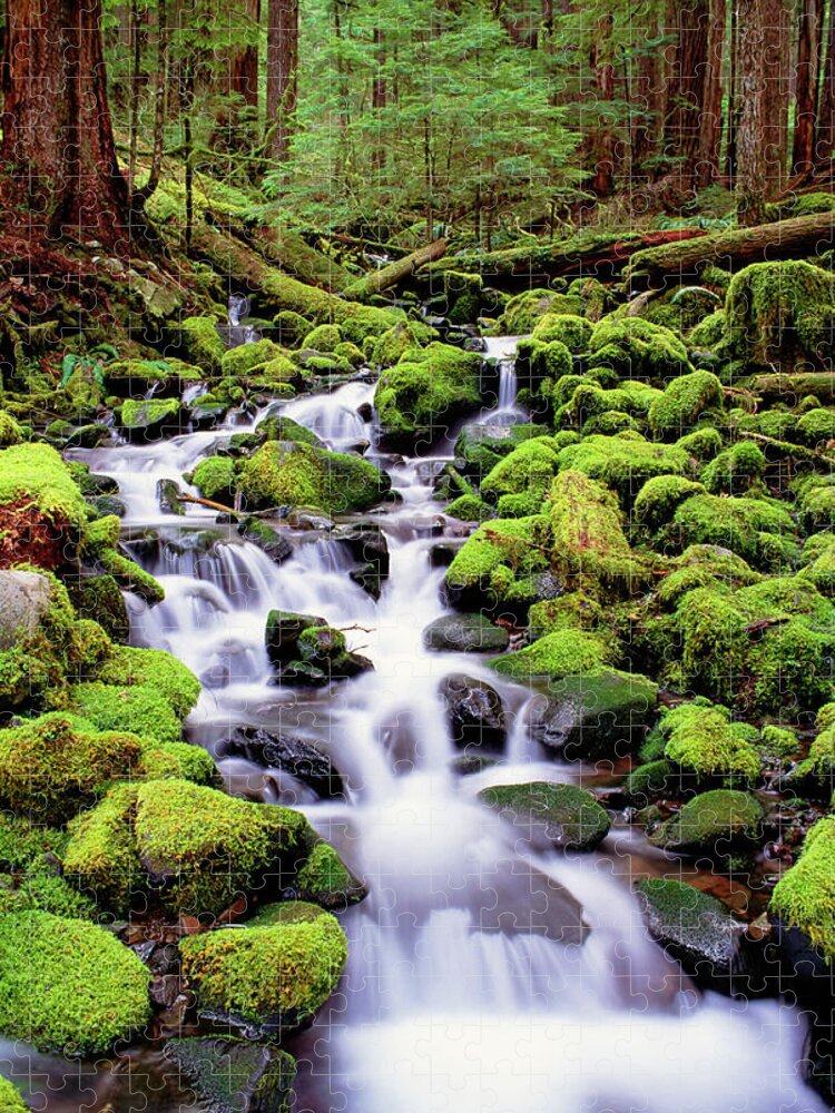 Blurred Motion Jigsaw Puzzle featuring the photograph A Stream Flowing Over Moss Covered by Mint Images - David Schultz