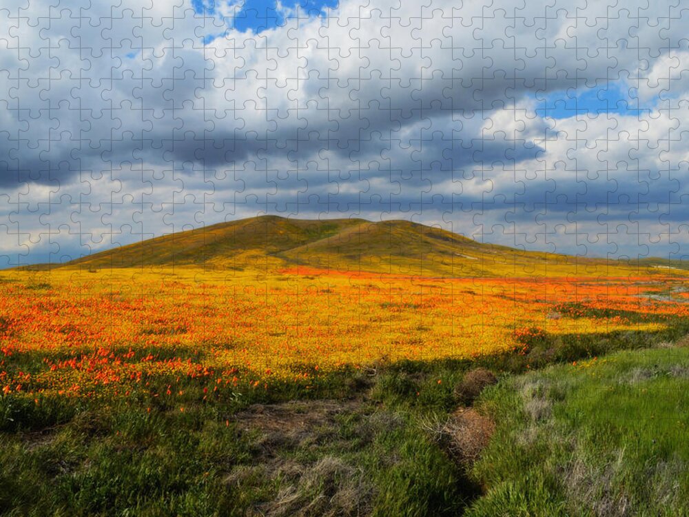 Poppies Jigsaw Puzzle featuring the photograph A Valley Of Beauty by Glenn McCarthy Art and Photography
