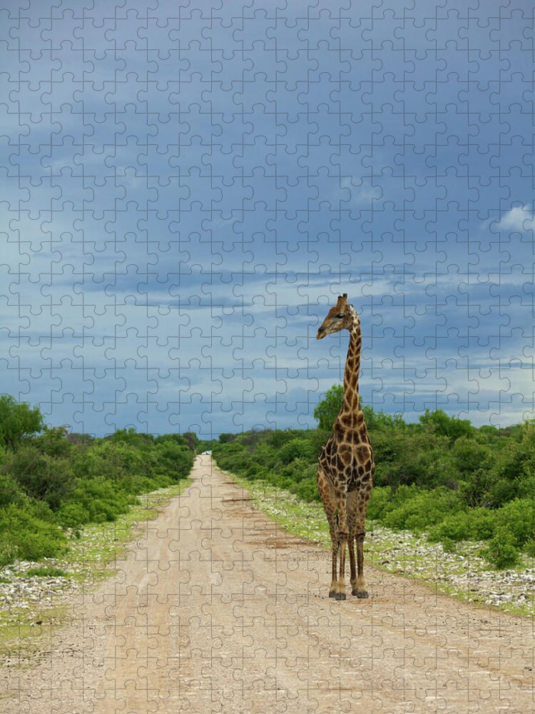 Scenics Jigsaw Puzzle featuring the photograph A Wide Angle View Of A Giraffe Walking by Hphimagelibrary