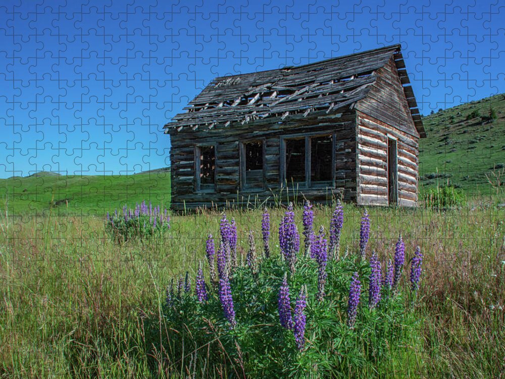 Spanish Creek Jigsaw Puzzle featuring the photograph Abandoned Montana by Douglas Wielfaert