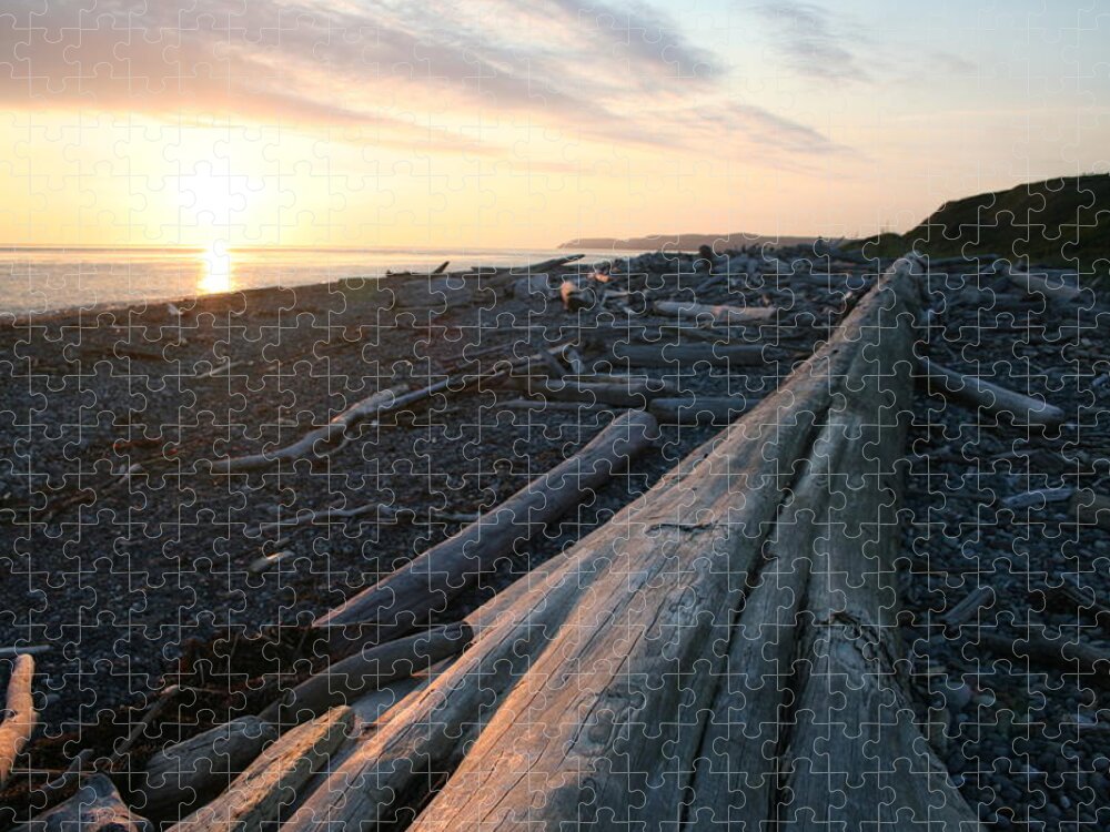 Admiralty Log H Jigsaw Puzzle featuring the photograph Admirality Log H by Dylan Punke