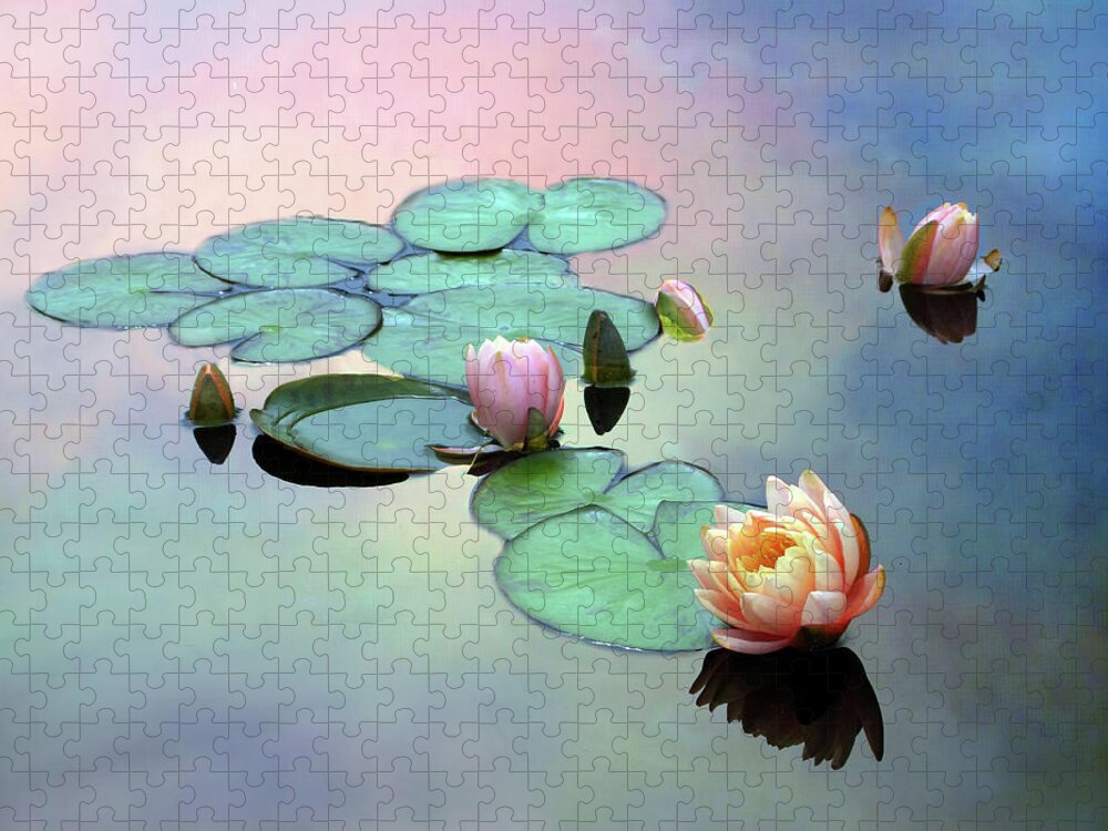 Lilies Jigsaw Puzzle featuring the photograph Afloat by Jessica Jenney