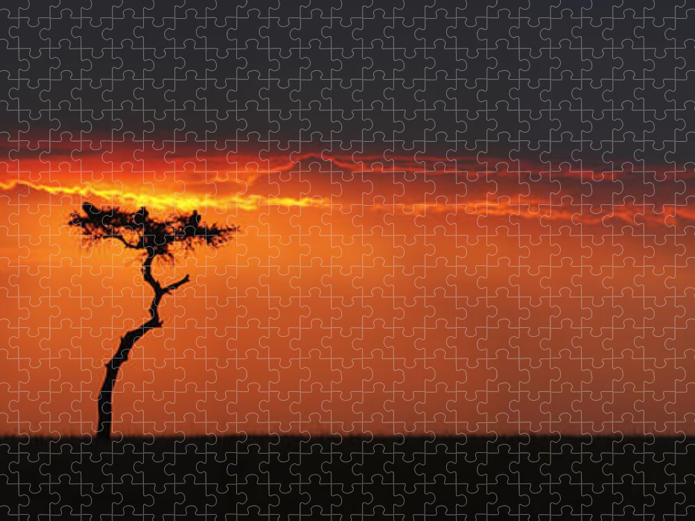 Scenics Jigsaw Puzzle featuring the photograph African Sunset by Gp232