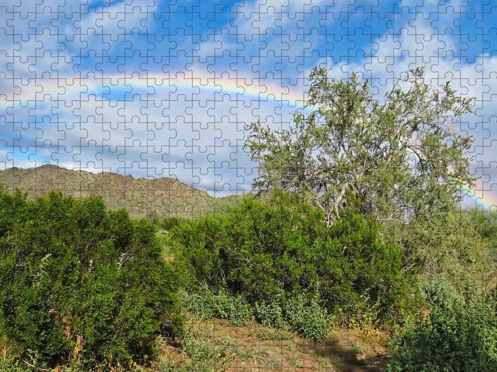 Arizona Jigsaw Puzzle featuring the photograph After an Arizona Winter Rain by Judy Kennedy