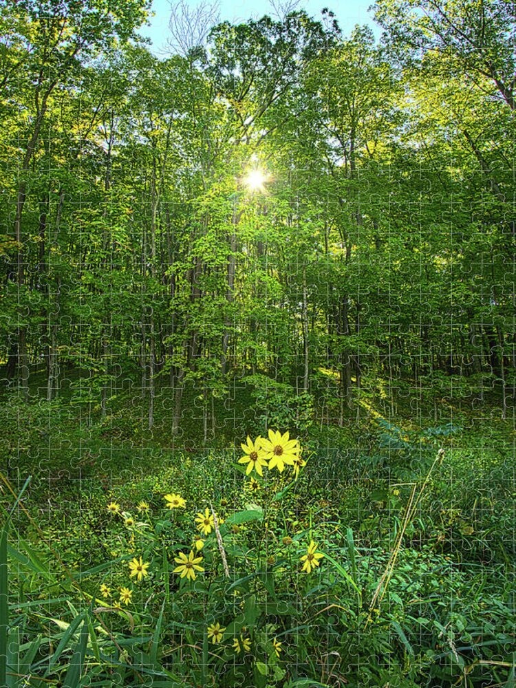 Rural Jigsaw Puzzle featuring the photograph All Green On The Inside by Phil Koch
