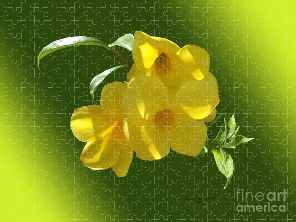 Bradenton Jigsaw Puzzle featuring the mixed media Allamanda Splendor by Gary F Richards