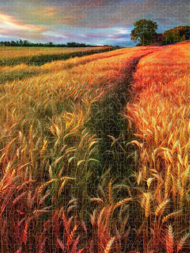 Barn Jigsaw Puzzle featuring the photograph Amber Waves of Grain Watercolors Painting by Debra and Dave Vanderlaan