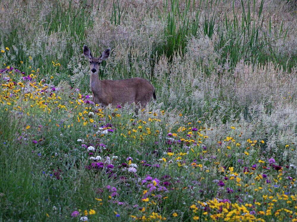 Deer Jigsaw Puzzle featuring the photograph Among the Wildflowers by Steven Clark