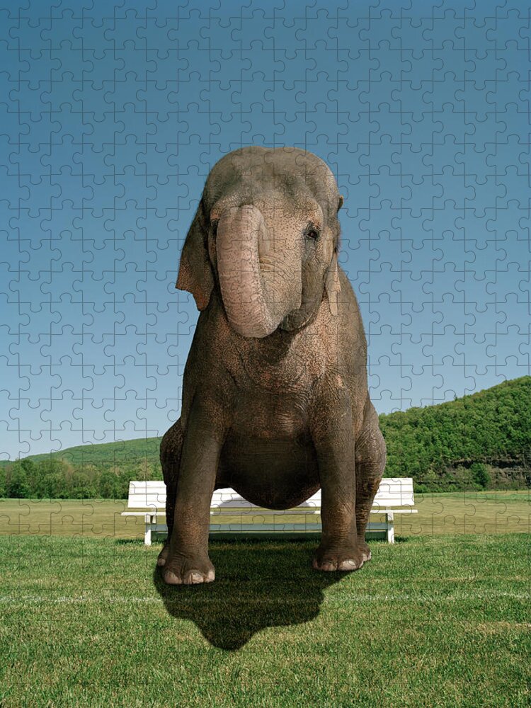 Out Of Context Jigsaw Puzzle featuring the photograph An Elephant Sitting On A Park Bench by Matthias Clamer