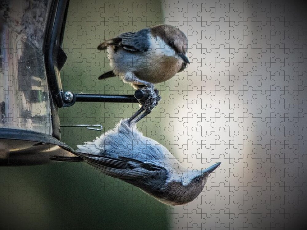 Brown Headed Nuthatch Jigsaw Puzzle featuring the photograph And Just Where Do You Think YOU'RE Going by Mary Ann Artz