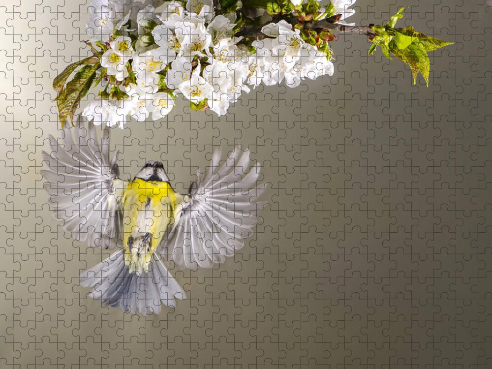 Animal Themes Jigsaw Puzzle featuring the photograph Angel by Mike Meysner Photography