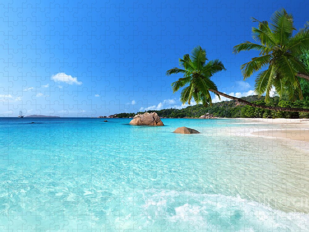 Palm Jigsaw Puzzle featuring the photograph Anse Lazio Beach At Praslin Island by Esb Professional