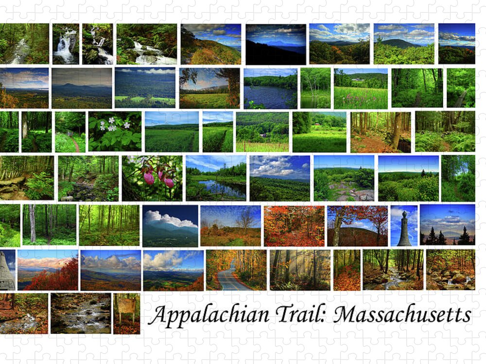 Appalachian Trail Massachusetts Jigsaw Puzzle featuring the photograph Appalachian Trail Massachusetts by Raymond Salani III