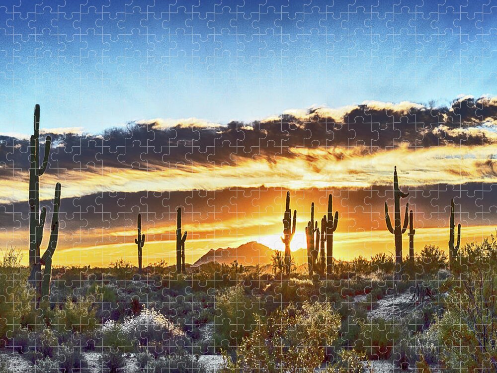 Arizona Jigsaw Puzzle featuring the photograph Arizona Sunrise And Saguaro by Don Schimmel
