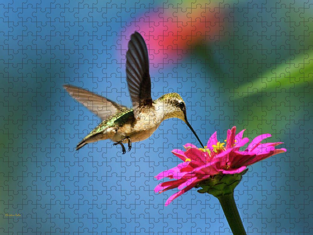 Hummingbird Jigsaw Puzzle featuring the photograph Art of Hummingbird Flight by Christina Rollo
