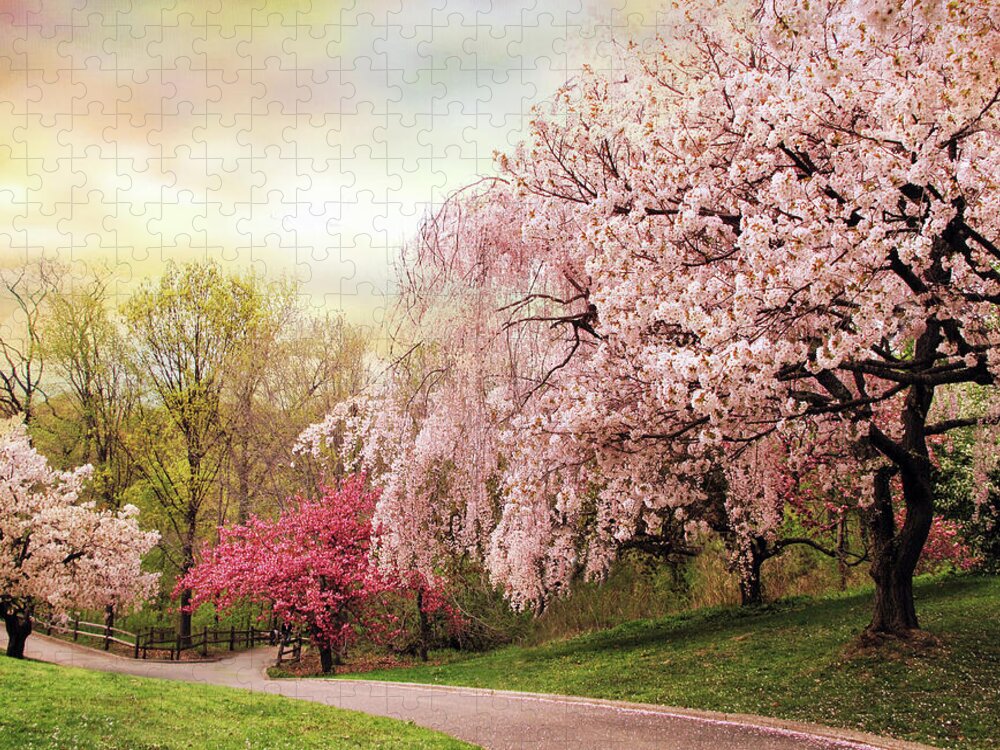 Nature Jigsaw Puzzle featuring the photograph Asian Cherry Grove by Jessica Jenney