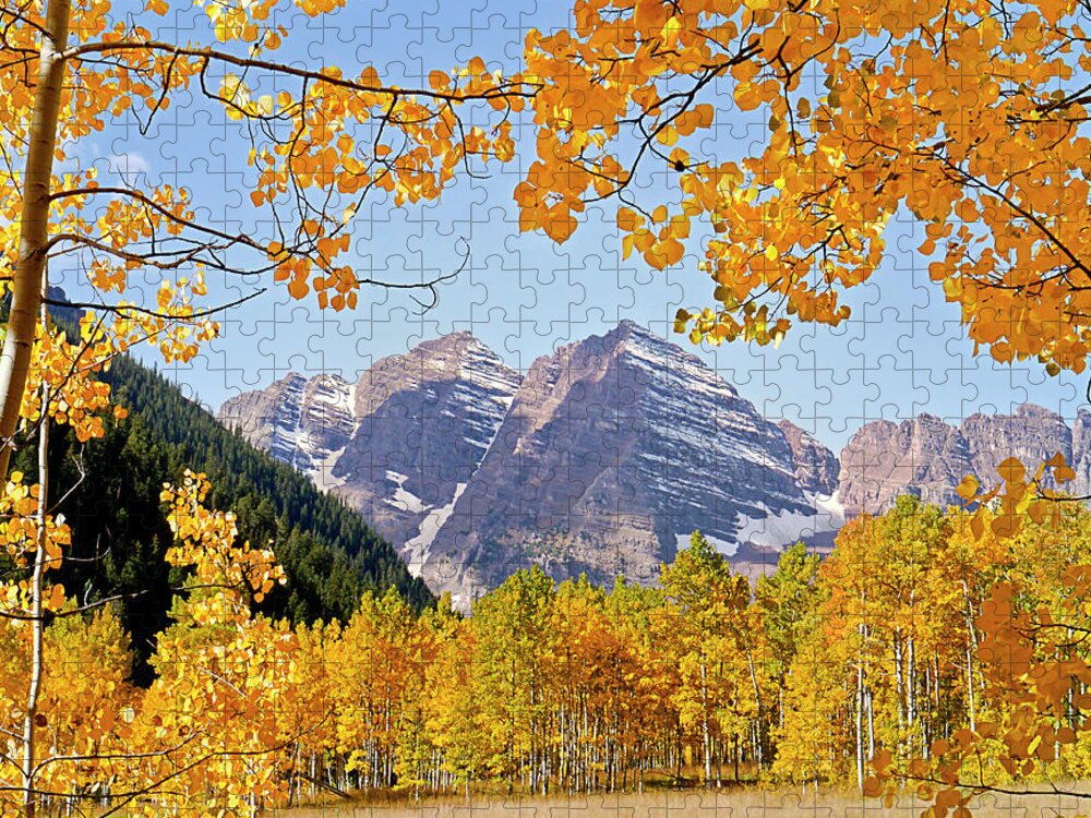 Scenics Jigsaw Puzzle featuring the photograph Aspen Forest by Lasting Image By Pedro Lastra