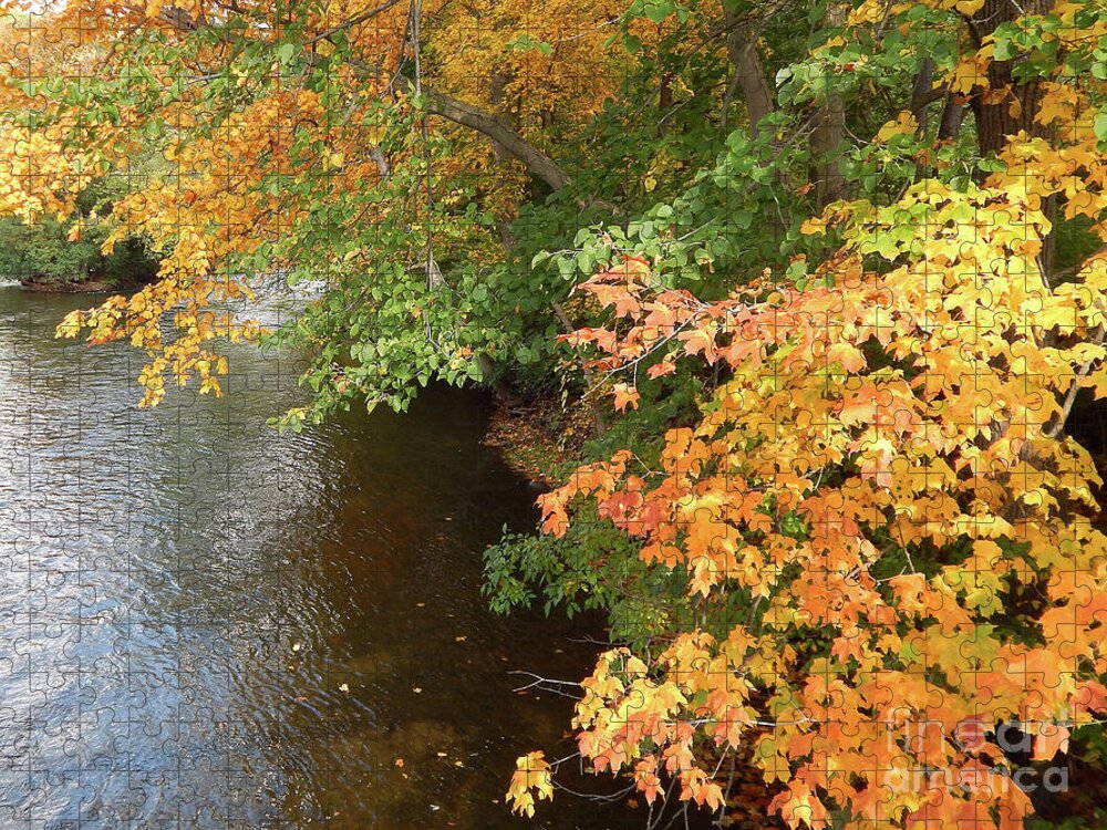 Huron River Jigsaw Puzzle featuring the photograph Autumn Along The Huron River by Phil Perkins