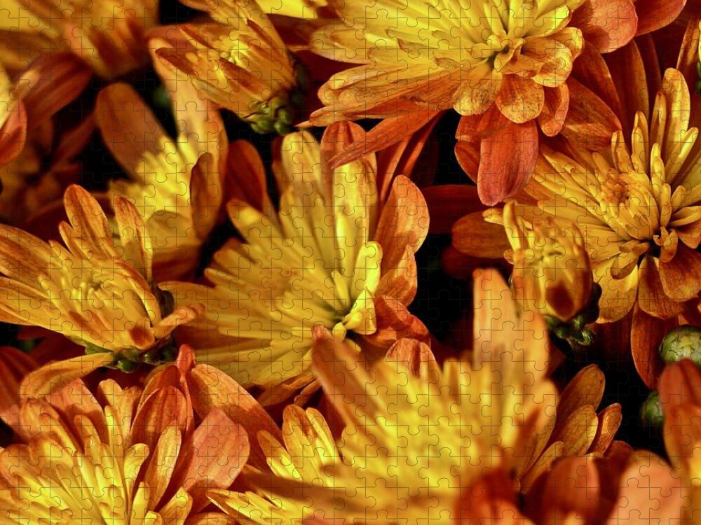 Autumn Jigsaw Puzzle featuring the photograph Autumn Chrysanthemums by Kathy Ozzard Chism