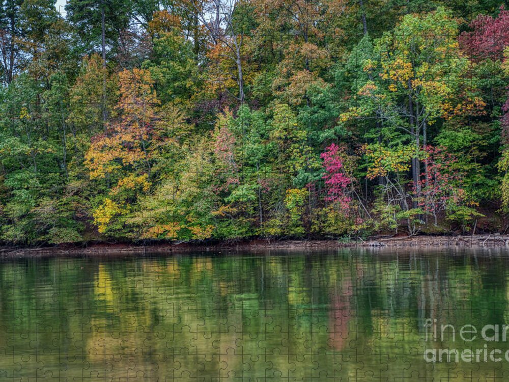Lake Norman Art Jigsaw Puzzle featuring the photograph Autumn Color at Lake Norman State Park by Amy Dundon
