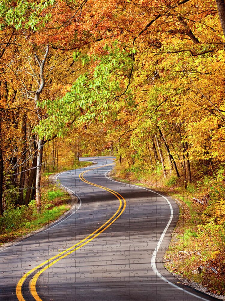 Autumn Jigsaw Puzzle featuring the photograph Autumn Country Road by Jill Love