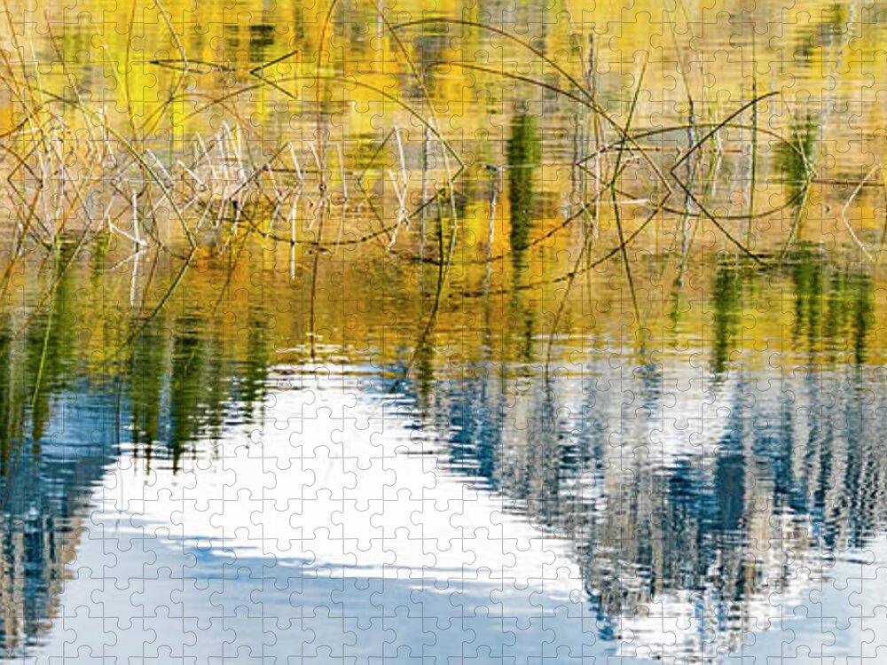 Photography Jigsaw Puzzle featuring the photograph Autumn Day Over Talbot Lake, Jasper by Panoramic Images