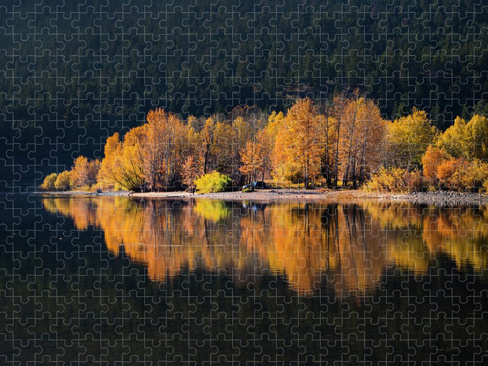 Seasons Jigsaw Puzzle featuring the photograph Autumn Days by Theresa Tahara
