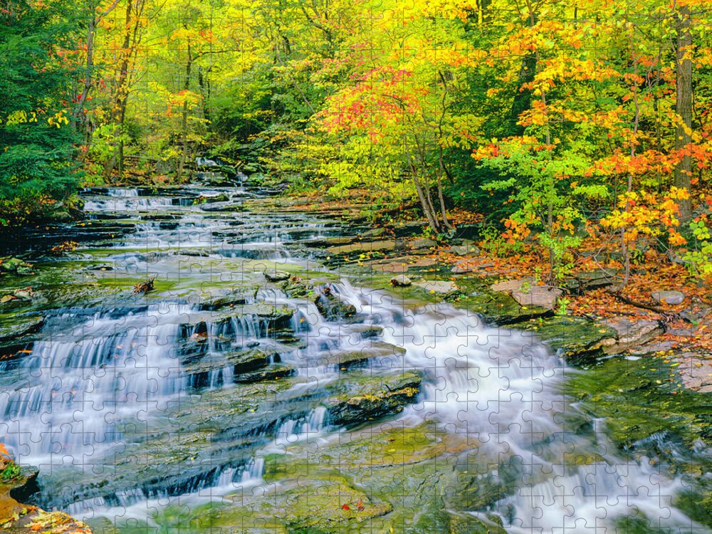 Water's Edge Jigsaw Puzzle featuring the photograph Autumn In Connecticut by Ron thomas