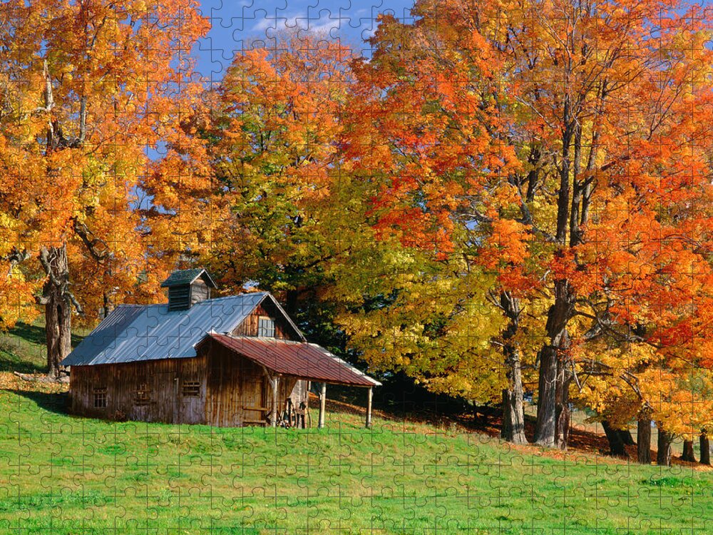 Scenics Jigsaw Puzzle featuring the photograph Autumn In Vermont by Ron thomas