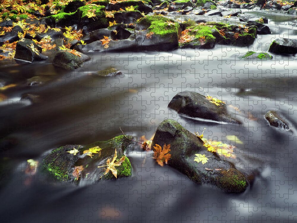 Autumn Jigsaw Puzzle featuring the photograph Autumn Landscape by Nicole Young