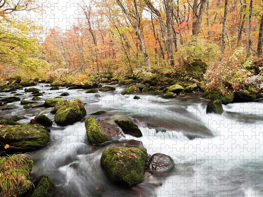 Scenics Jigsaw Puzzle featuring the photograph Autumn Mountain Stream by Ooyoo