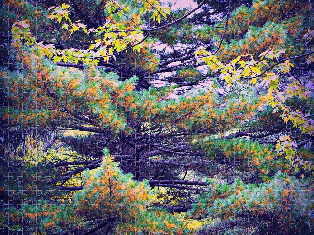 Nature Jigsaw Puzzle featuring the photograph Autumn Pine by Frank J Casella