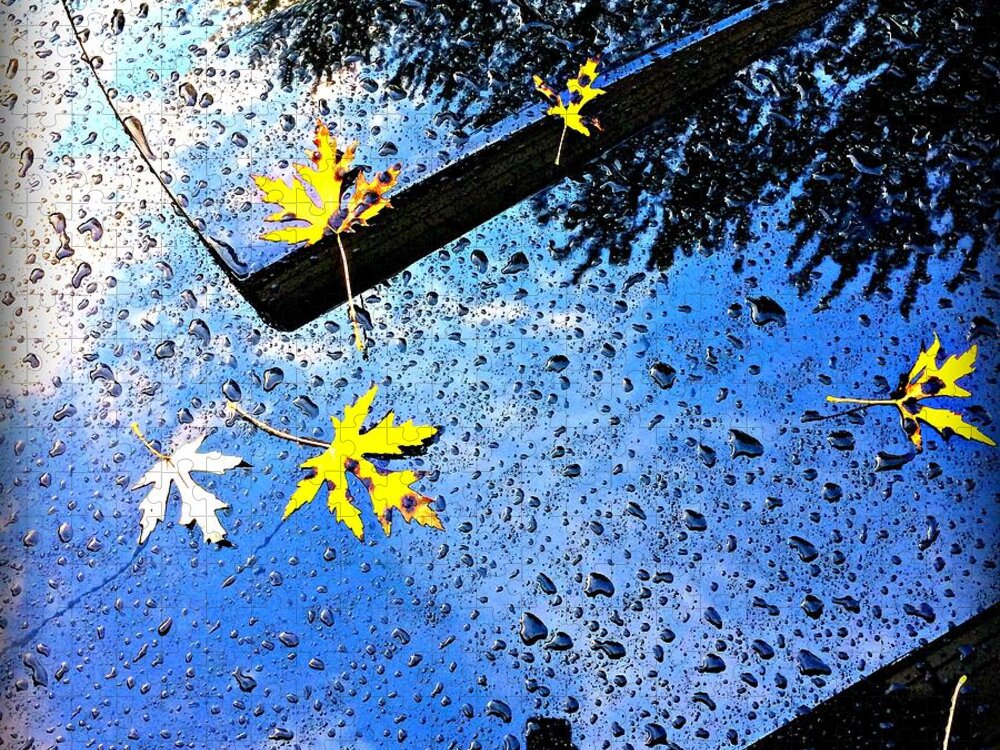 Autumn Jigsaw Puzzle featuring the photograph Autumn Raindrops Car Reflections by Frank J Casella