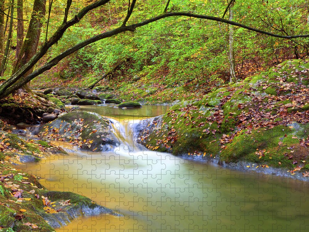 Scenics Jigsaw Puzzle featuring the photograph Autumn Stream by Kencanning