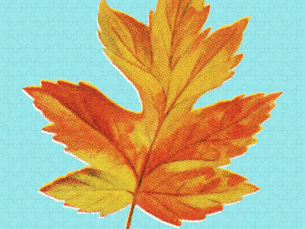 Autumn Jigsaw Puzzle featuring the drawing Autumn Yellow Leaf by CSA Images