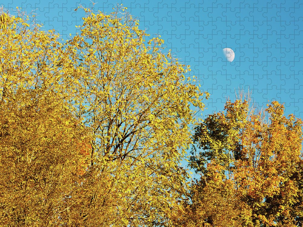 Blue Sky Jigsaw Puzzle featuring the photograph Autumn_and_the_Moon by Greg Booher