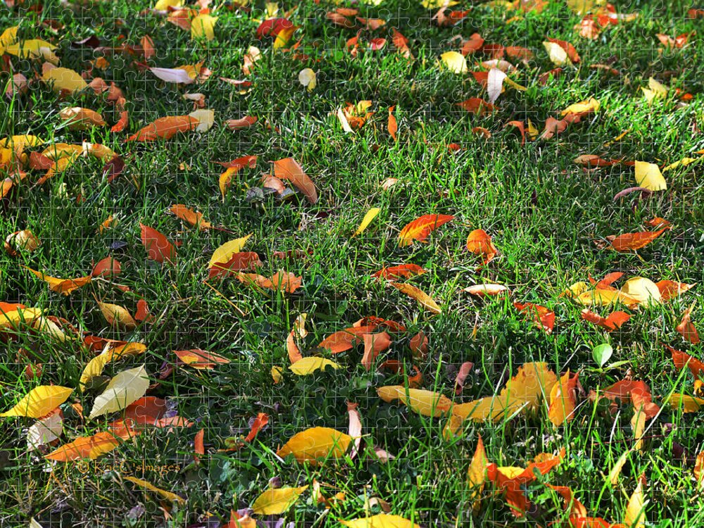 Grass Jigsaw Puzzle featuring the photograph Autumn's Confetti by Kae Cheatham