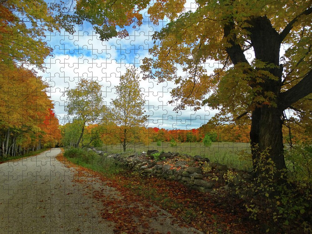 October Jigsaw Puzzle featuring the photograph Back Road Fall Colors by David T Wilkinson